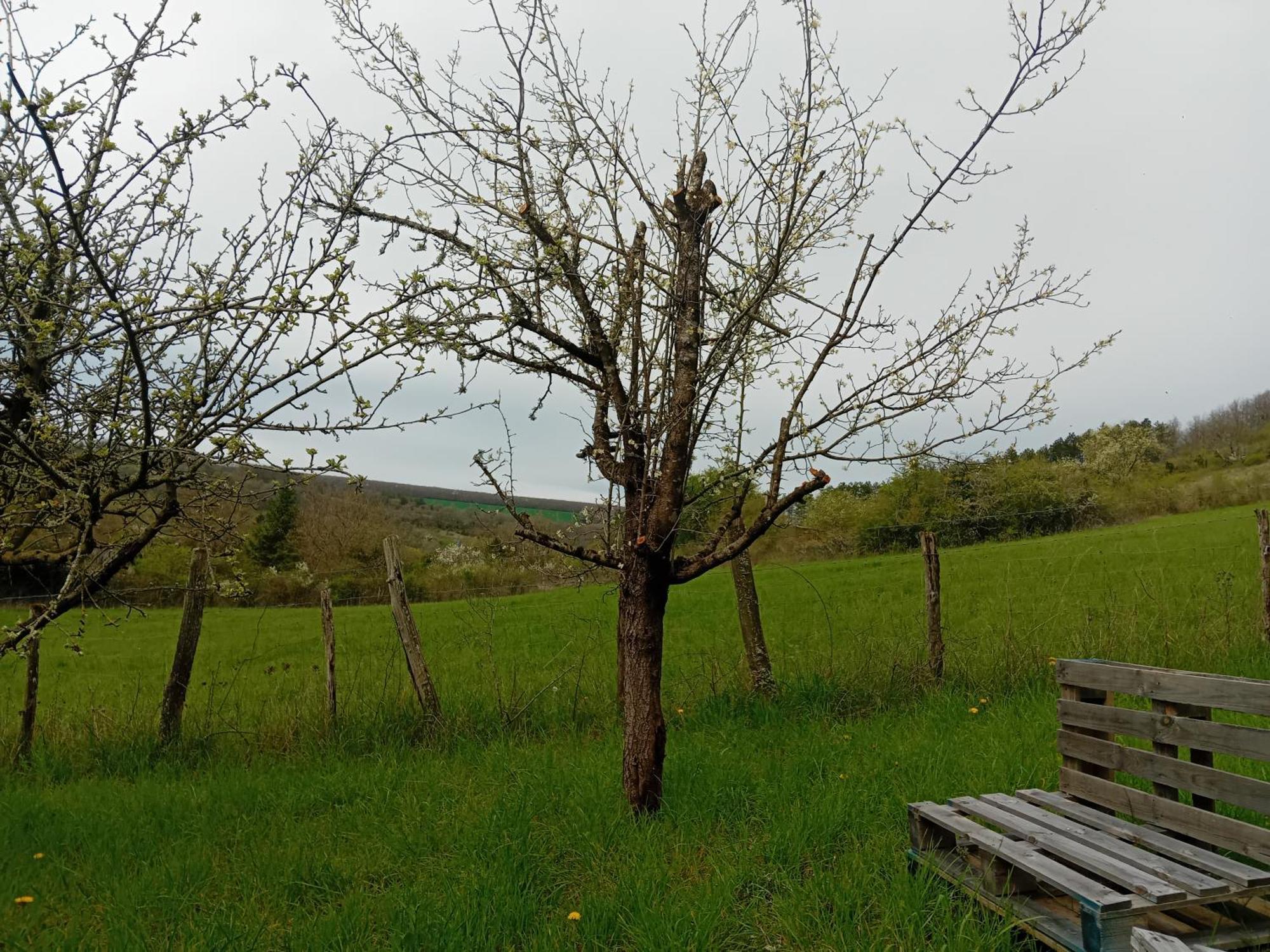 Campingfiz Varzy Buitenkant foto